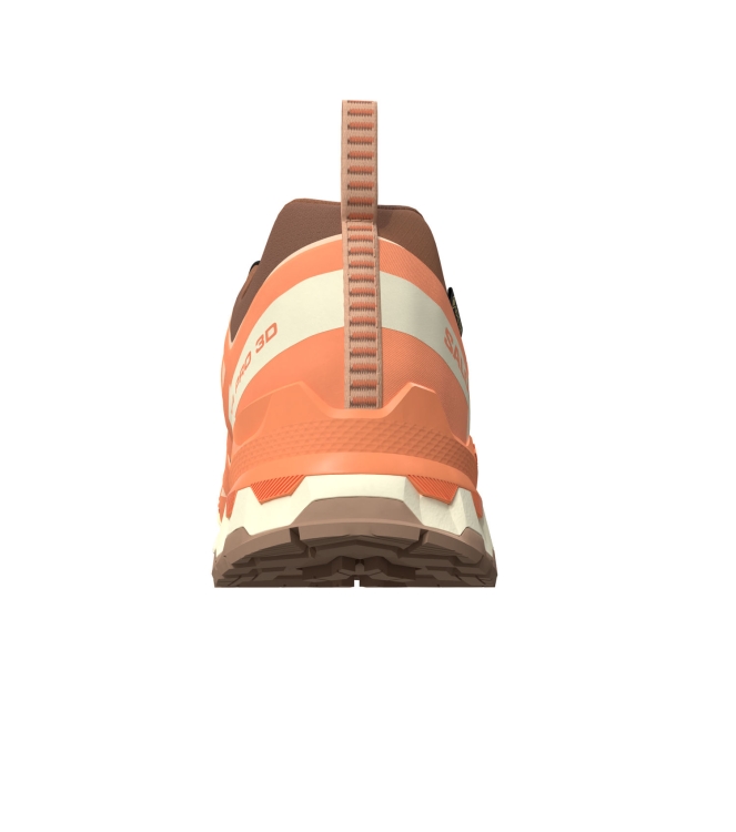 Salomon Salomon XA Pro 3D V9 GTX W pecanb/nectrn/a L47987800 Pecanb/Nectrn/A Salomon wandelschoenen L47987800 beige bij Leerentveldvrijetijd.nl