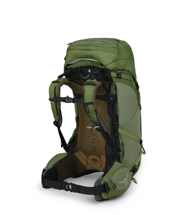 Osprey Osprey Atmos AG 50 Rugzak mythical green 1-174 Mythical Green Osprey tassen 1-174 blauw bij Leerentveldvrijetijd.nl