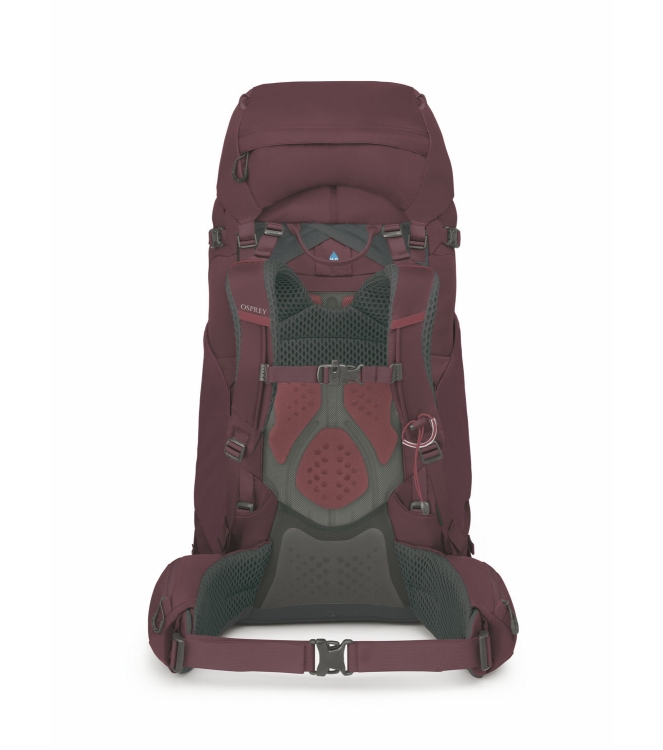 Osprey Osprey Kyte 68 rugzak elderberry purple 3014 Elderberry Purple Osprey tassen 3014 blauw combinatie bij Leerentveldvrijetijd.nl