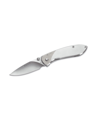 Buck Buck Nobleman Stainless zakmes
